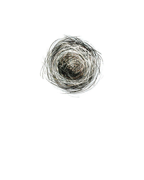Nest drawing, with egg - 8" x 10" fine art drawing print by DiToma plus a tiny rock shapped like an egg - ArtByDianaToma
