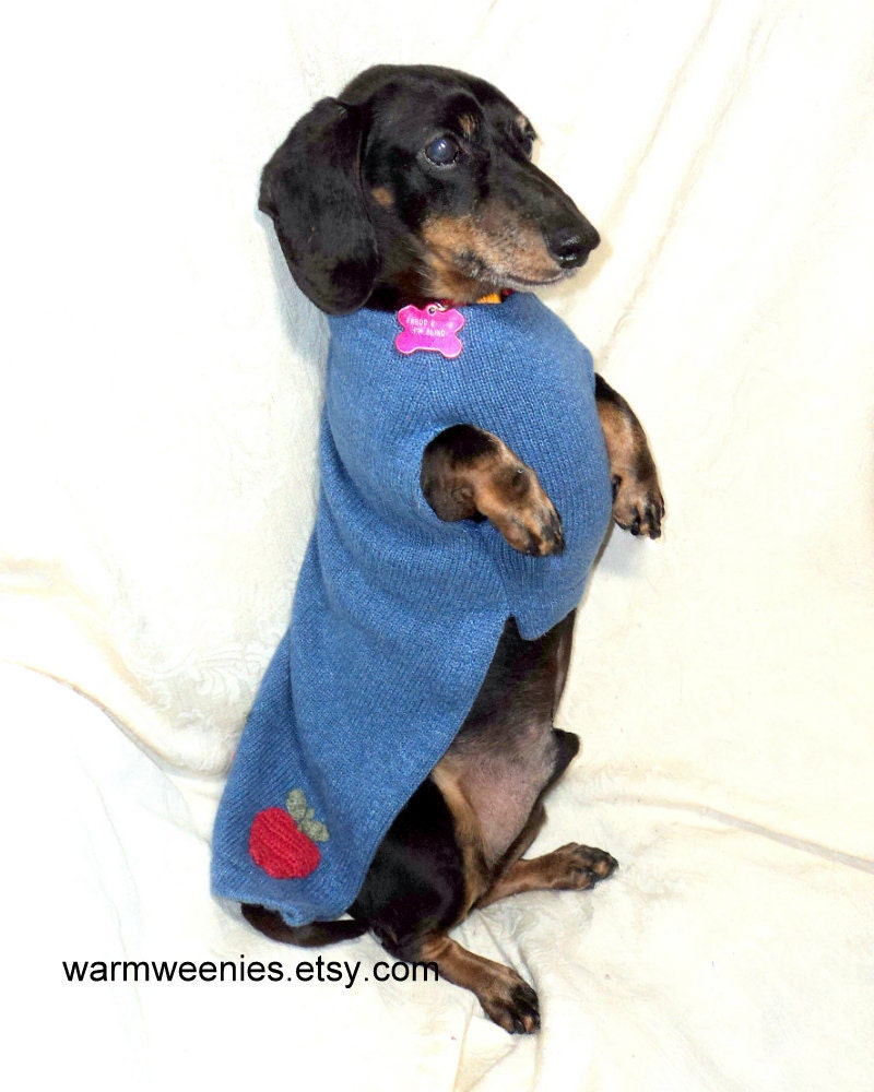 Dachshund sweater jumper handmade pets clothing cotton blend appliqued apples