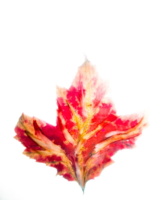 autumn wall decor, fall leaf, red gold, watercolor soft dreamy