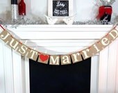 Just Married Banner / Wedding Banner / Getaway Car / Photo Prop / Wedding Decoration / Signage- Reception Decor/ Customize to your Colors