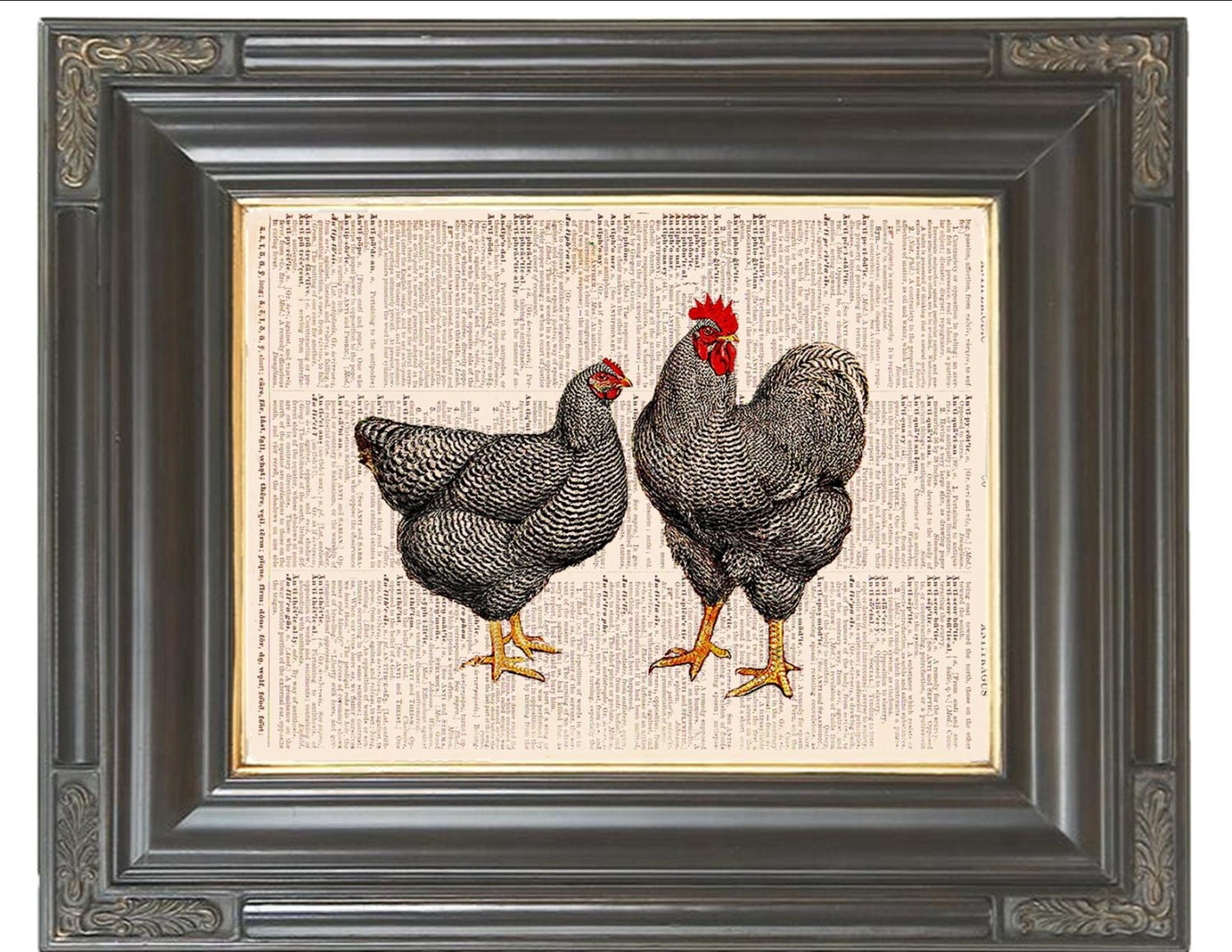 BOGO SALE Black speckled country French chickens Dictionary art page print printed on old dictionary book page. Item No. 230