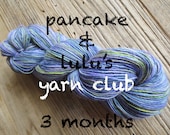 hand painted yarn club - 3 month membership - customizable - by pancake and lulu