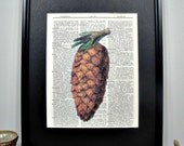 FRAMED Vintage Dictionary Print - Woodland Series - Pinecone
