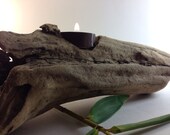 Maui Driftwood Tea Light Candle Set