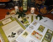 15% Off Celtic Tree Calendar Series: Oak Month Oak Month June 10-July 7