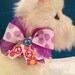 Dog Collar Seventys Themed