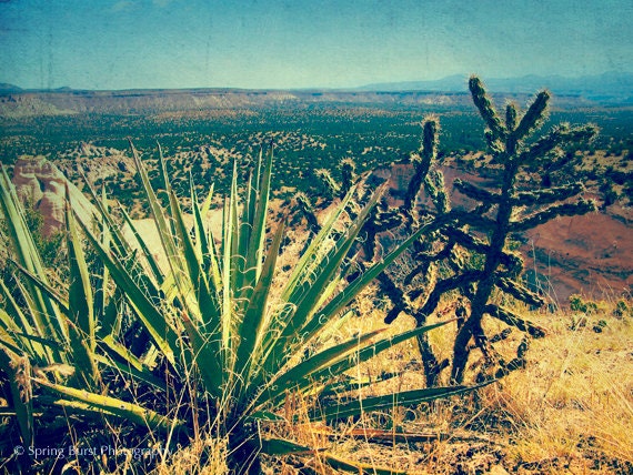 Desert photography - southwestern art - landscape, cactus art - spiritual art - vintage green blue gold - New Mexico - rustic decor - 8x10