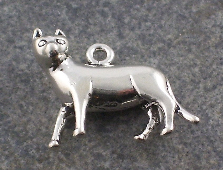 Add A Charm Cat