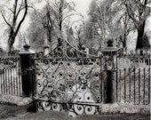 Cemetery Gate Metallic Ice Winter