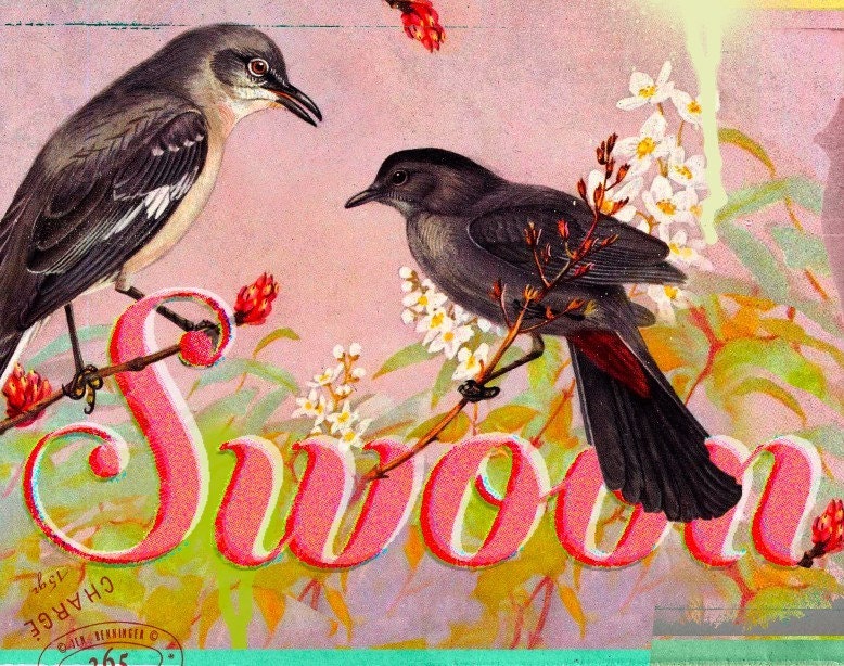 Swoon - Large Print