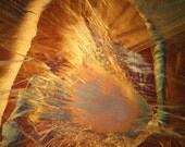 the chamber