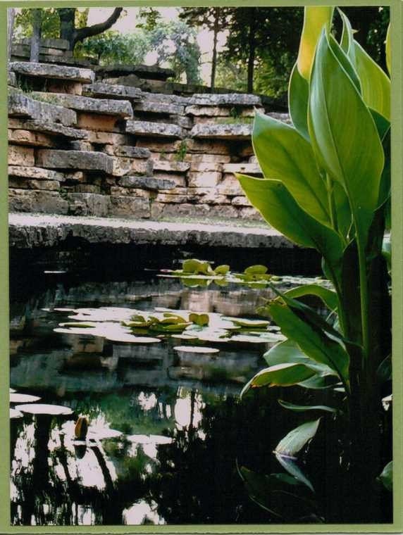 Outdoor Spring/Summer Green Pond Scene with Water Reflection Handmade Greeting Card