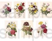 Antique Botanicals...Redoute Floral Bouquets...GORGEOUS.... Digital Collage Sheet