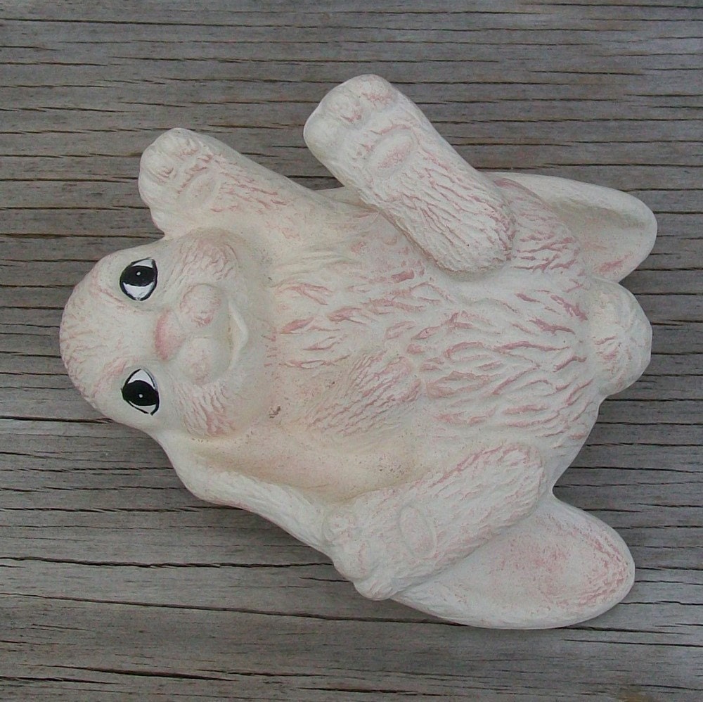 Playful Bunny