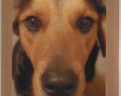 Shepherd Mix Dog Face Handmade Greeting Card for Dog Lovers