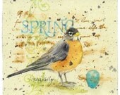 Robin
