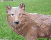 Majestic  Wolf
