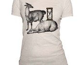 LLAMAS IN WAITING - Organic Cotton Scoop Neck Tshirt