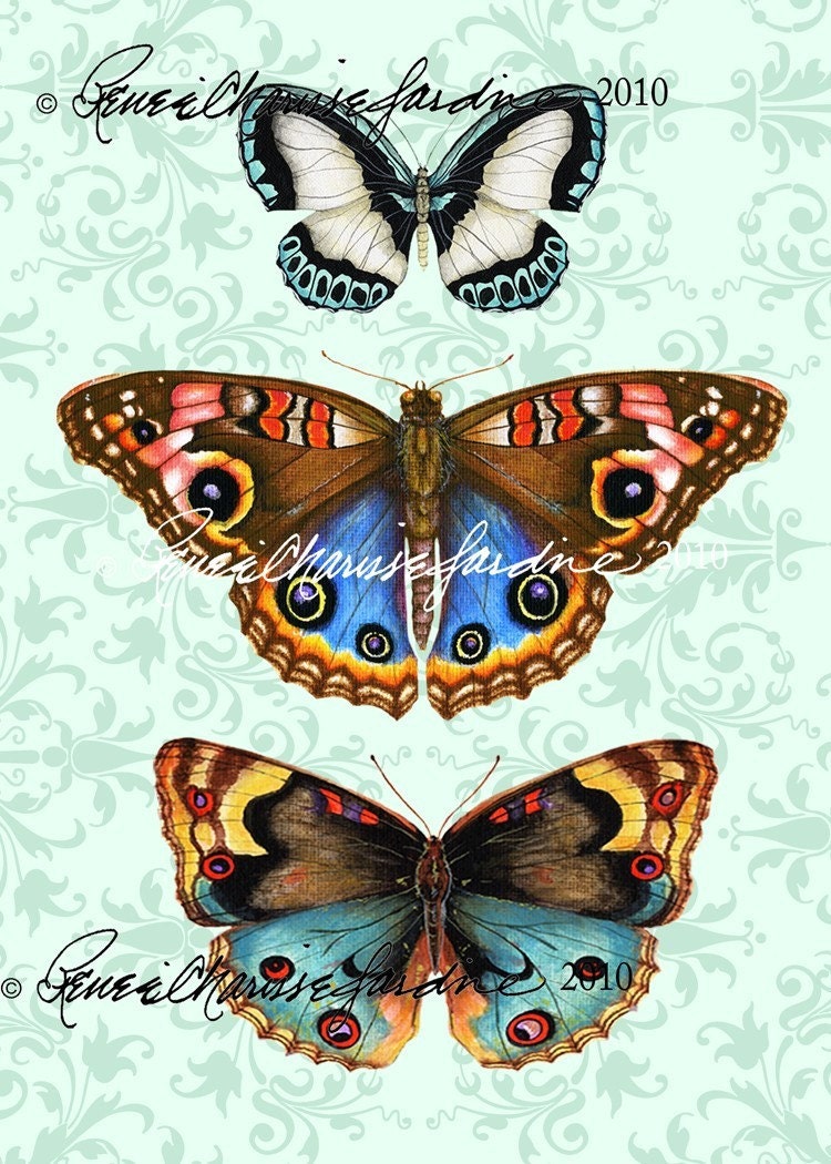 Butterfly Trio- Hand Signed Glicee Print
