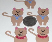 Cats - 5 to a pack