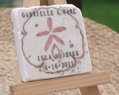 Sand dollar Save The Date Magnets, Wedding Party Favors, Set of 15
