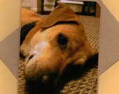Husky Lab Mix Smiling Dog Handmade Greeting Card for Dog Lovers