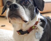 Custom Pet Tag - Designed By YOU