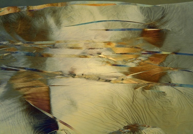 olive landscape 