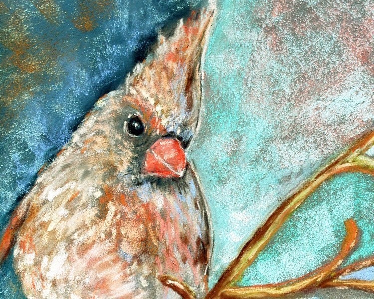 Female Cardinal, Bird Art Print,