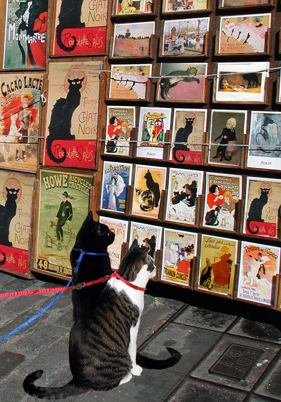 Cat Art Print- Black Cat Posters