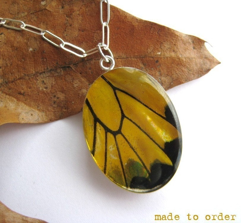 Real Butterfly Wing Necklace, yellow birdwing
