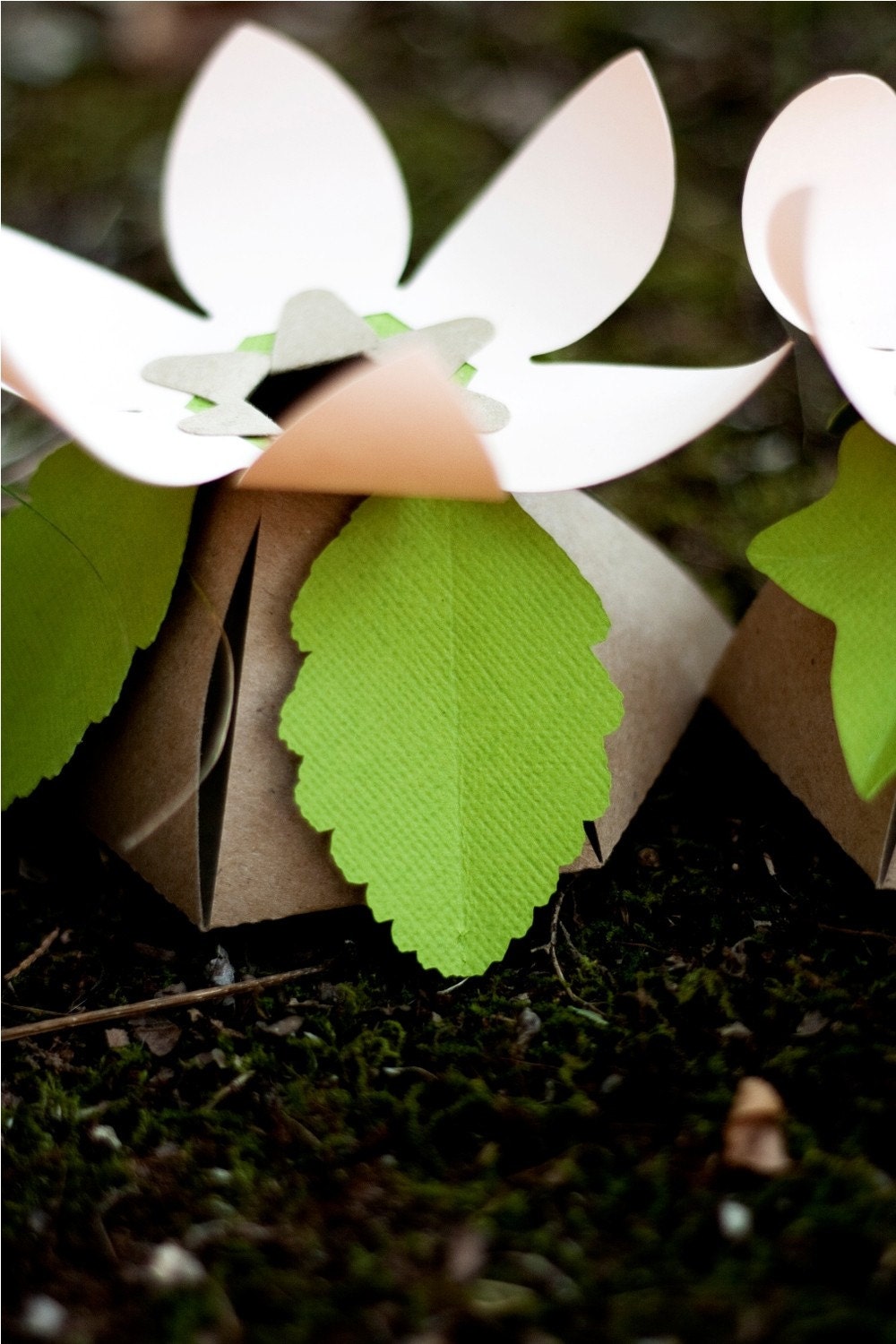 BIRCH LEAF add-on for our DIY favor boxes - 10-count