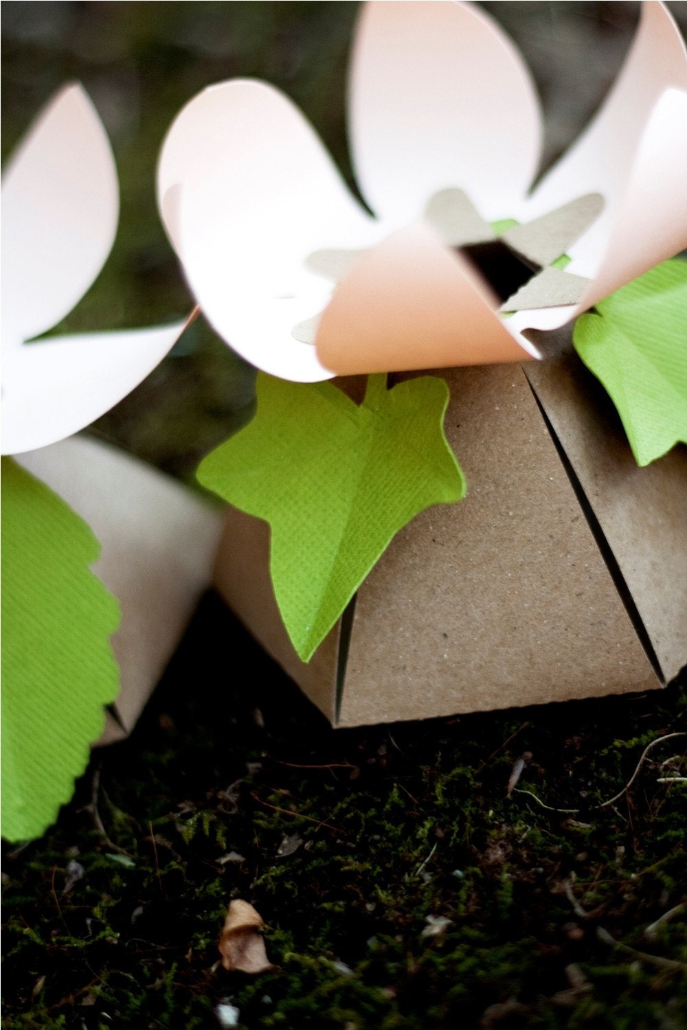 IVY add-on for our DIY favor boxes - 10-count