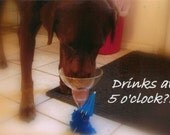 Chocolate Lab Dog Drinking Margarita Greeting Card-Drinks at 5 o'clock