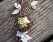 Stewart - Birds nest boutonniere