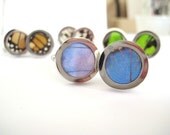 Real Butterfly Wing Cuff Links - fly away with me, blue morpho
