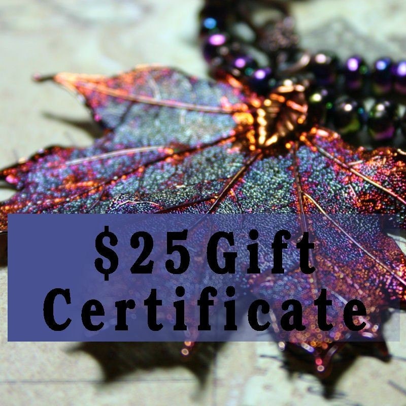 25 Dollars Walk on the Moon Gift Certificate