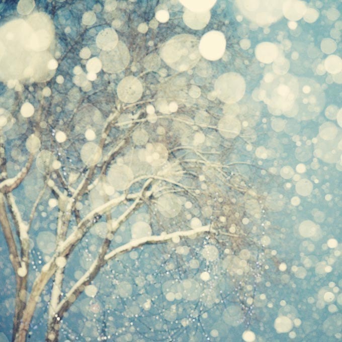Winter Photography, Tree, Snowflakes, Snow, Blue, White, Abstract Photograph - Snowblind