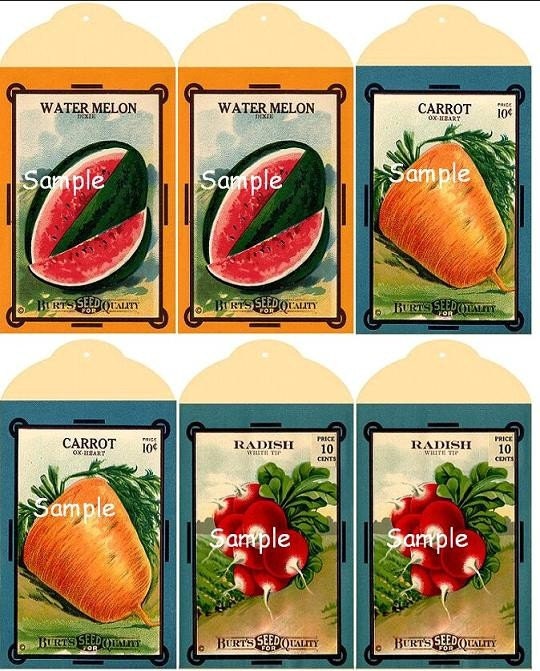 Vegetable Seed Packet E-Hang Tags