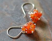 Twinkle Earrings - Orange Carnelian, Sterling Silver