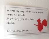 8 laminated bad parking cards with squirrel - (WG204)