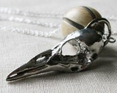 Corvidae Necklace - raven bird skull