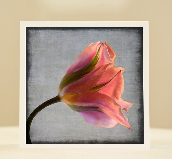Custom note card- Choose your favorite photo - any in my shop