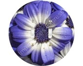 Blue Daisy Flower Double Toggle Switch Plate Cover