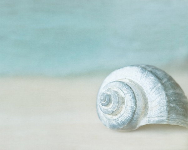 ocean whispers... soft blue green seashell decor photograph with calming sand and beach tones