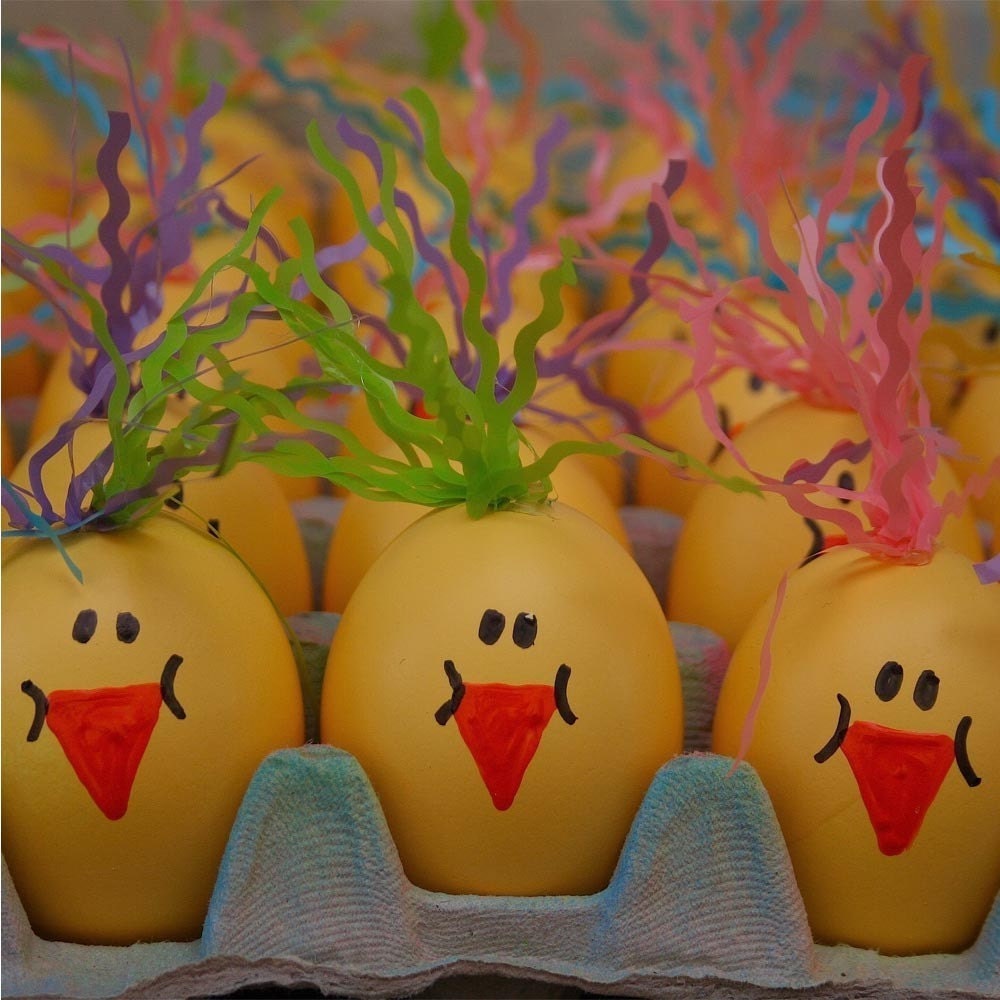 Cascarones (Confetti Eggs), FIVE DOZEN, Cutie Chickies