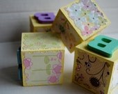 Custom Block Set