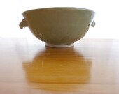 Berry Colander and Dish Set (Serenity Green)