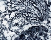 Leviathan Worm II, Archival print in MIdnight Blue