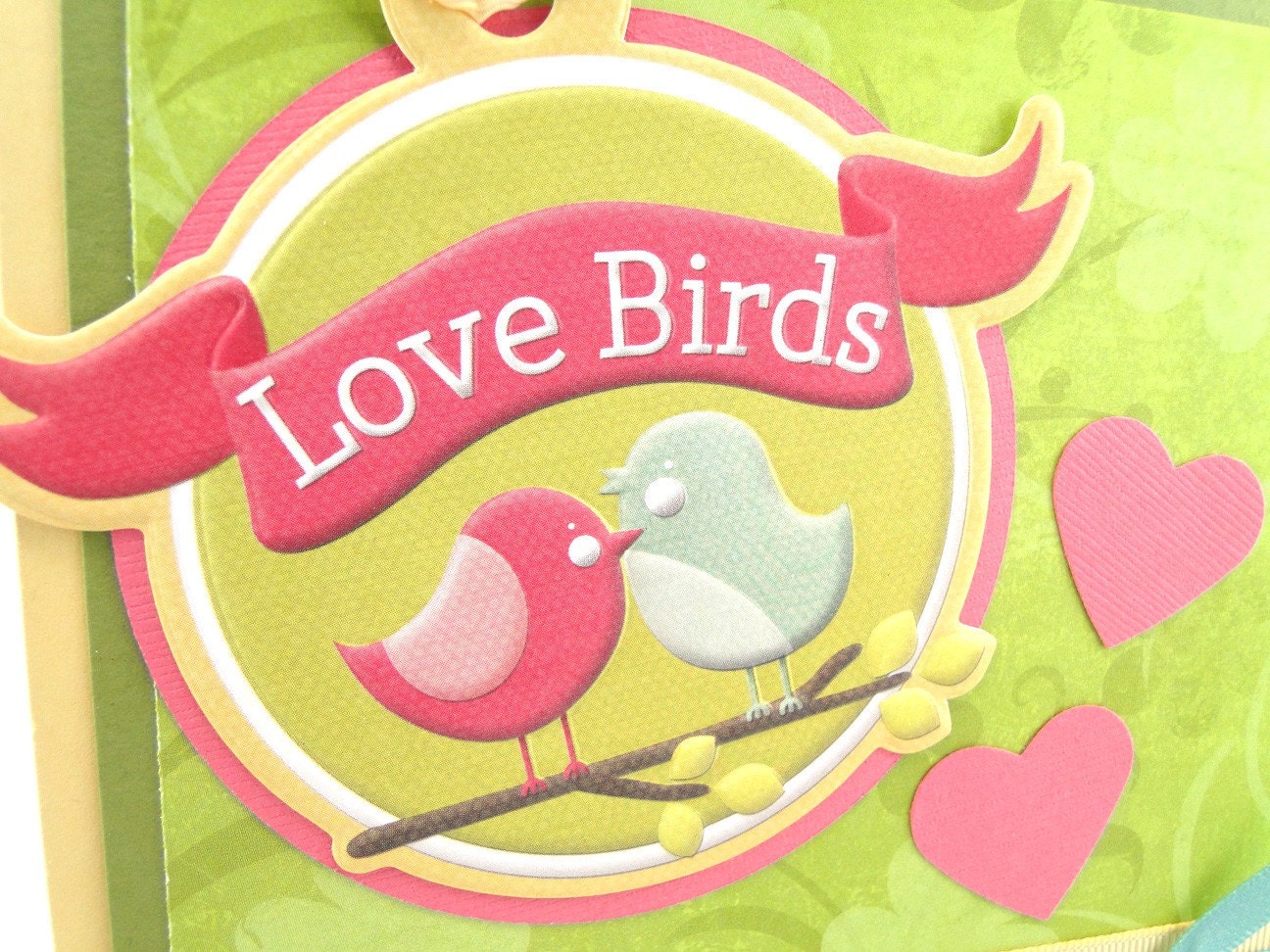 Love Birds Valentines day card